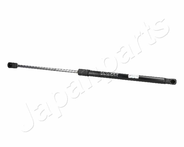ZS06067