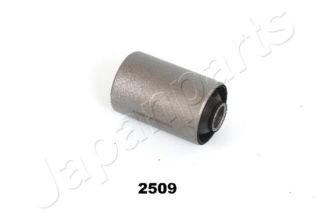 RU-2509