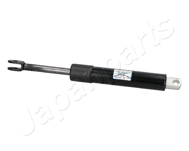 ZS05011