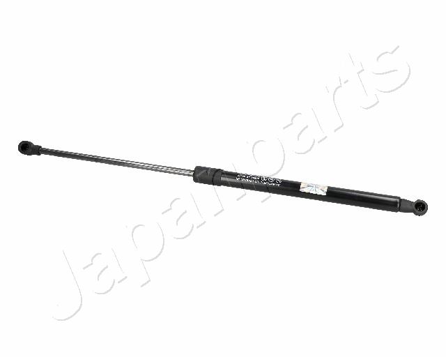 ZS06020