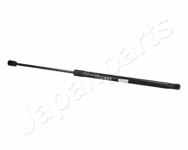 ZS01032