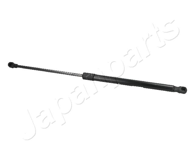 ZS09087