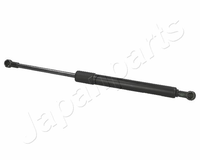 ZS01022