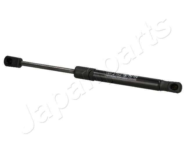 ZS02021