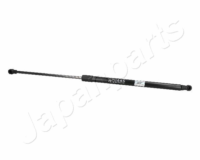 ZS06081