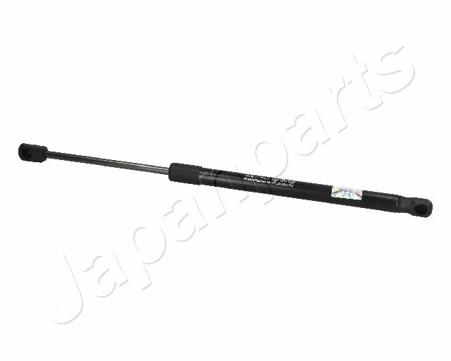 ZS06101