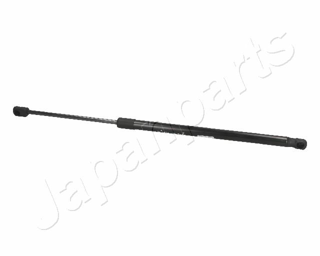 ZS09176