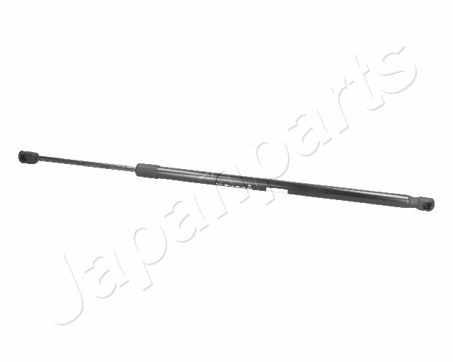 ZS09125