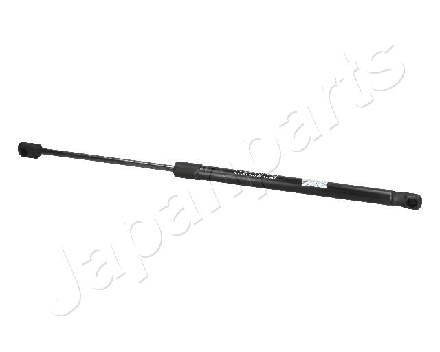 ZS09118
