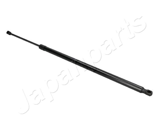 ZS02061