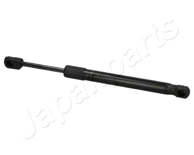 ZS01046