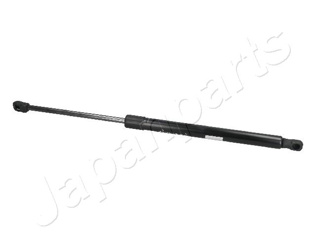 ZS09055