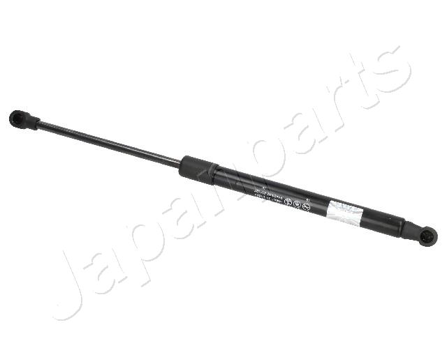 ZS01043