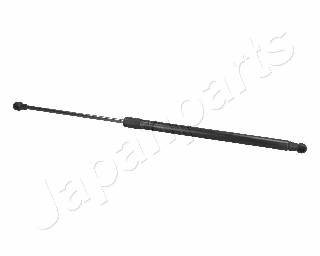 ZS01015