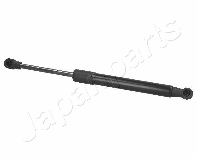 ZS01025