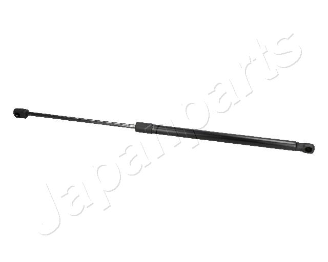 ZS09120
