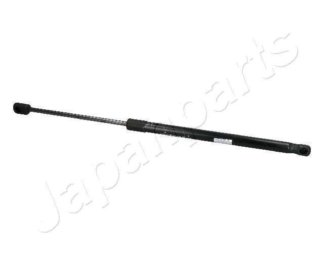 ZS10012
