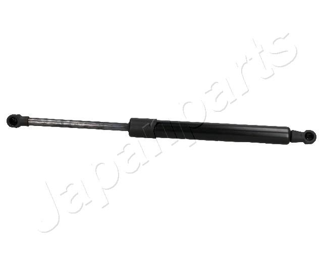ZS02091