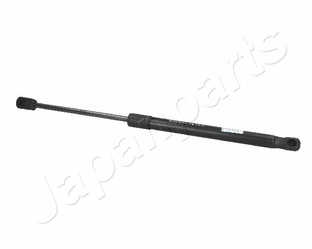 ZS00029