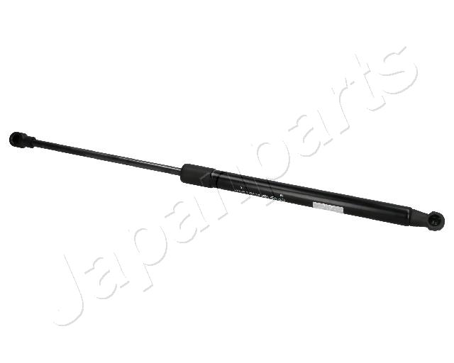 ZS07061