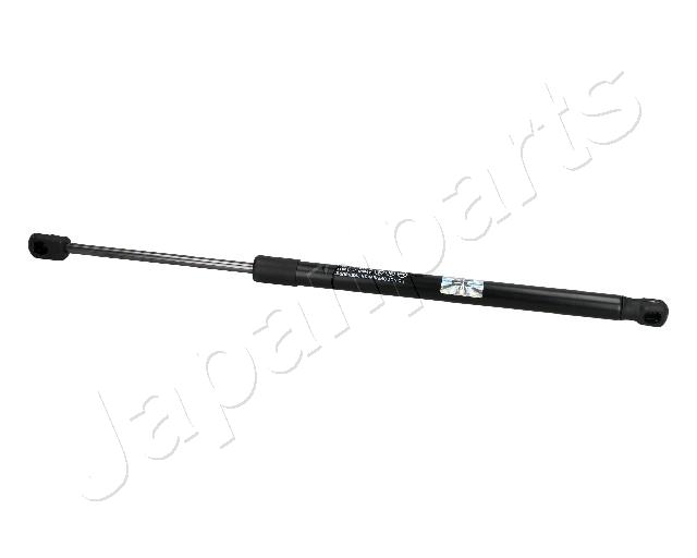 ZS30017