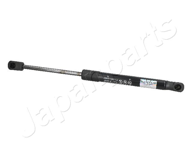 ZS09104