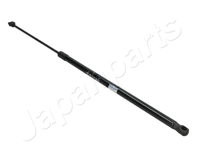 ZS09067