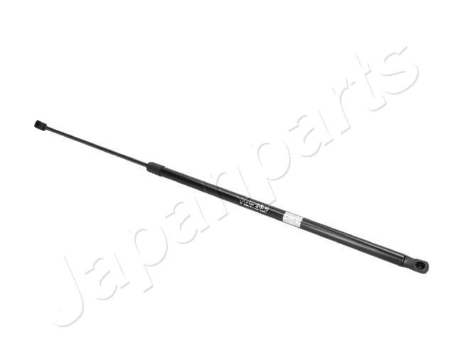 ZS06017