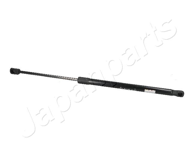 ZS09073