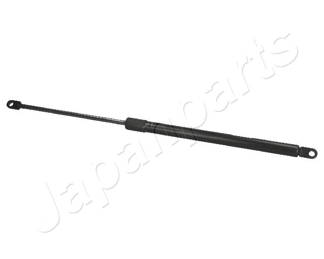 ZS01060