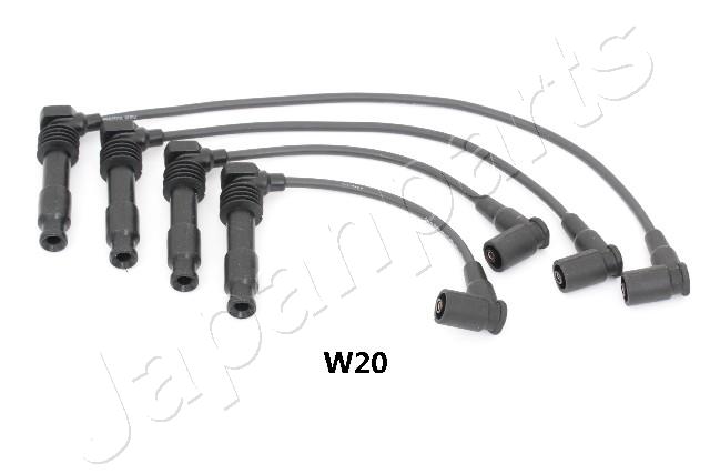 IC-W20