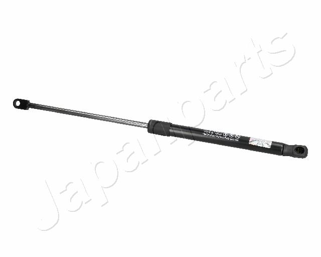 ZS06091