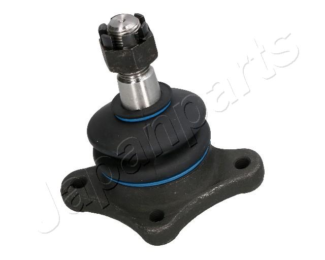 BJ-313