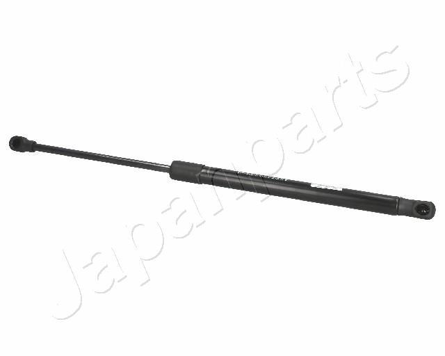 ZS01036