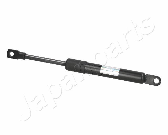 ZS03066