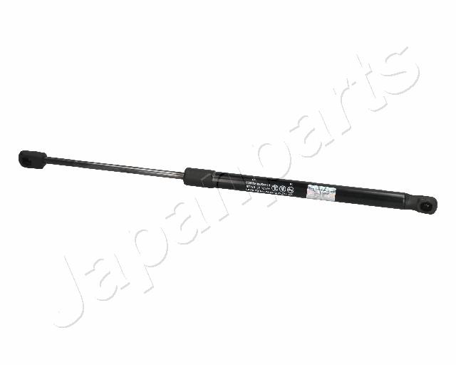ZS06028