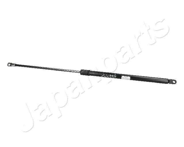 ZS06058