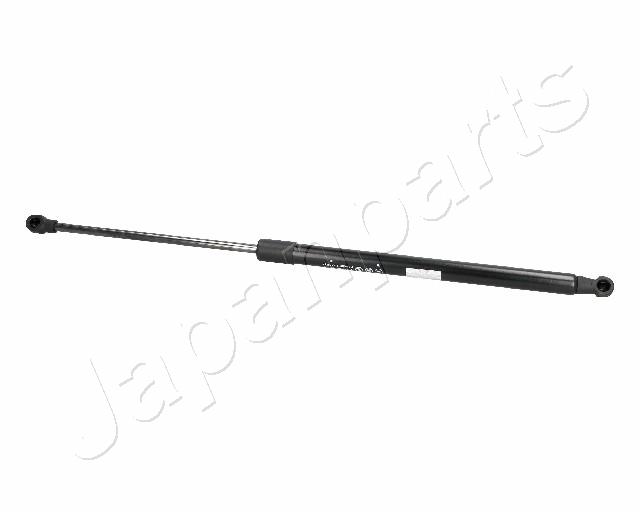ZS06094