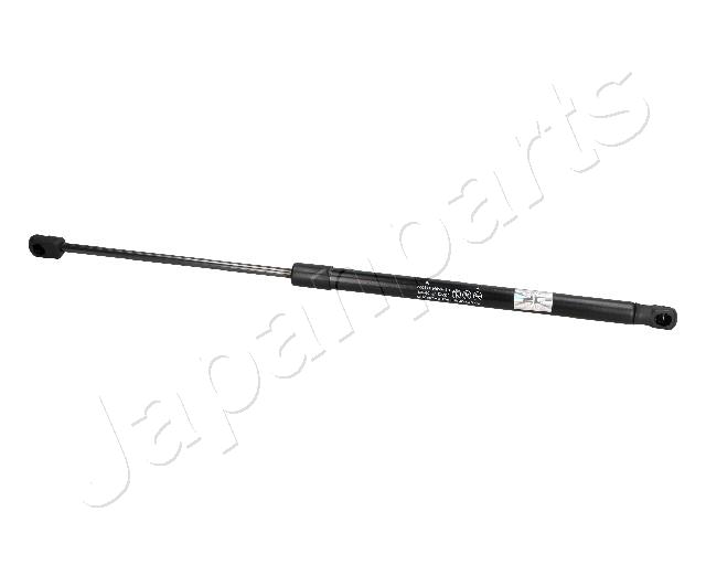 ZS09139