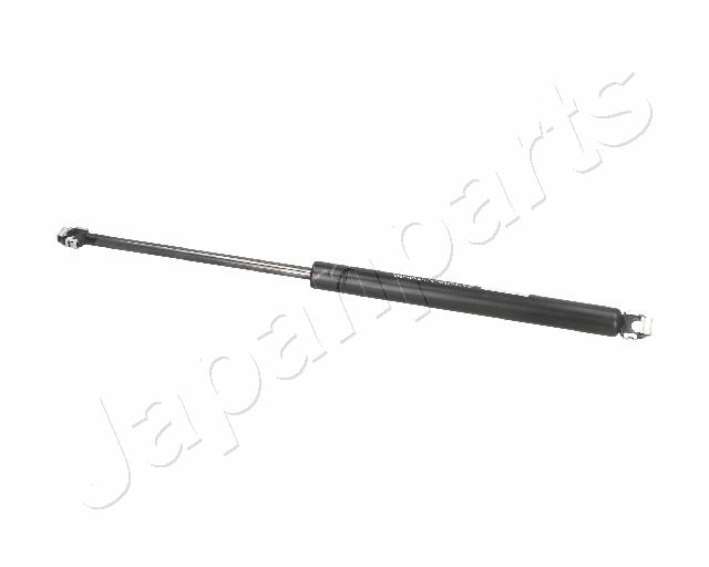 ZS01016