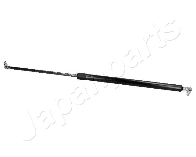 ZS80009