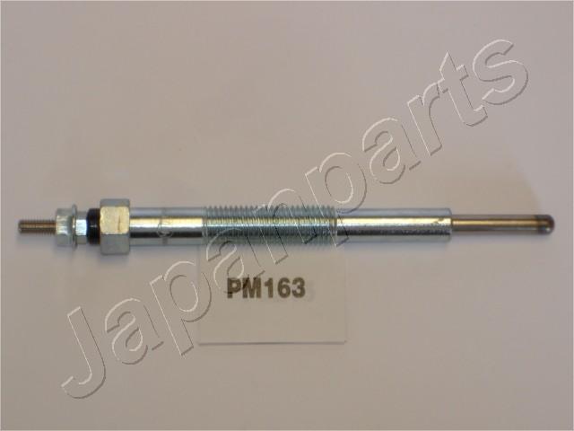 PM163