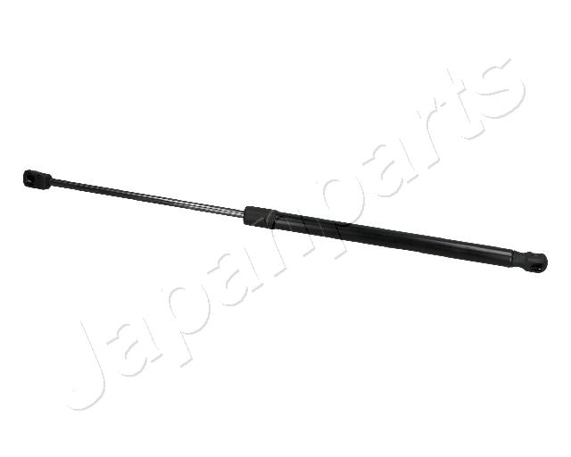 ZS10032