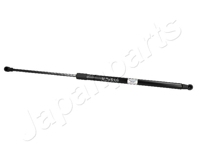 ZS02088