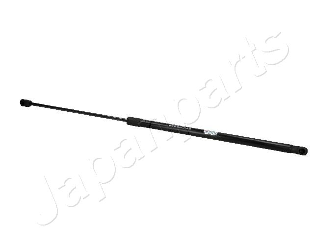 ZS07065