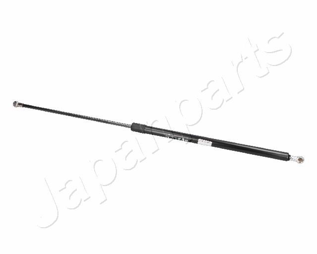 ZS02022