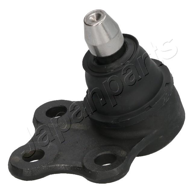 BJ-D55