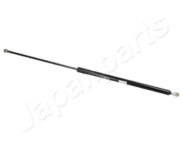 ZS07017