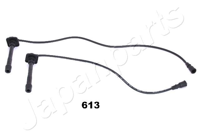 IC-613