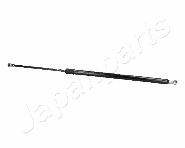 ZS06038